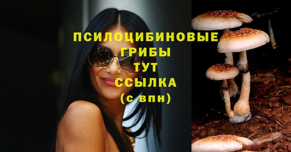 МДПВ Новокубанск