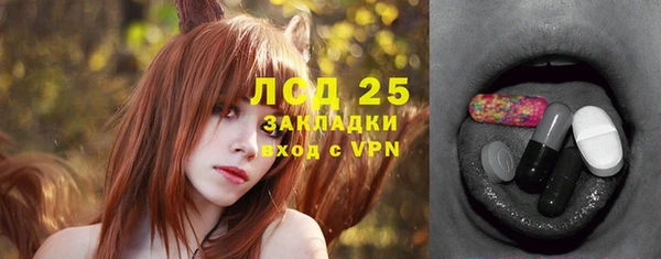 стафф Новодвинск