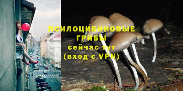 стафф Новодвинск