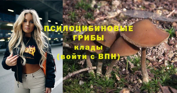 стафф Новодвинск