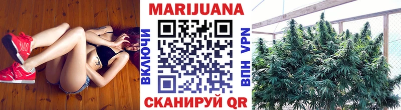 Купить где  Ижевск  Бошки Шишки ГИДРОПОН 